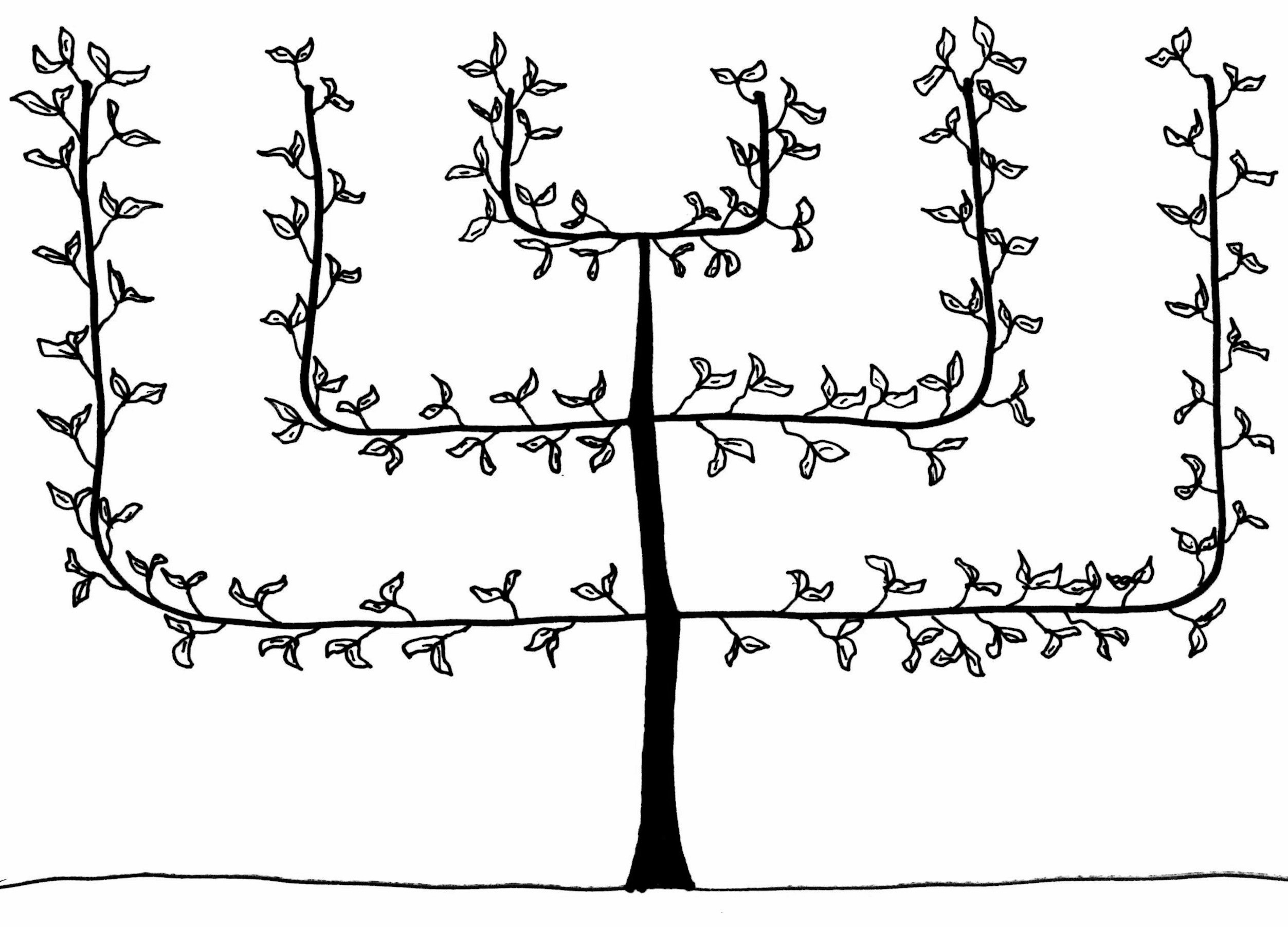 Bountiful Farms Resources